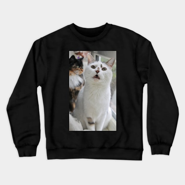 Doh Crewneck Sweatshirt by Ladymoose